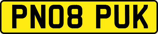 PN08PUK