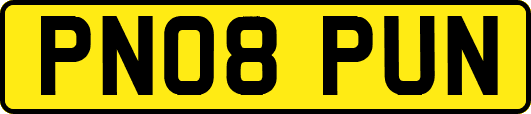 PN08PUN