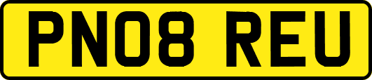 PN08REU