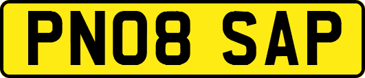PN08SAP