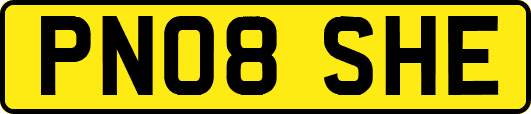 PN08SHE