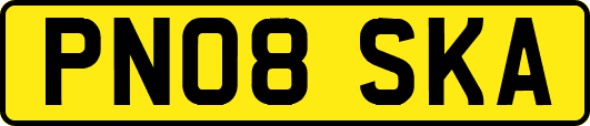 PN08SKA