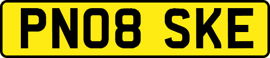 PN08SKE