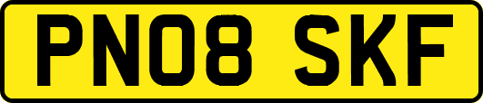PN08SKF