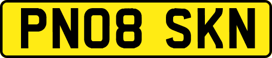 PN08SKN