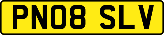 PN08SLV