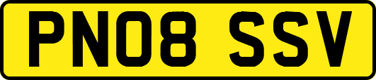PN08SSV