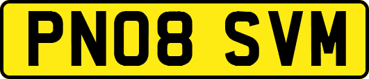 PN08SVM