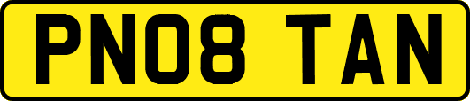 PN08TAN