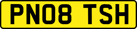 PN08TSH