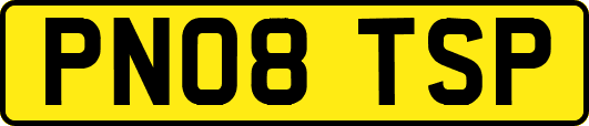 PN08TSP