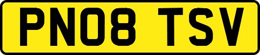 PN08TSV