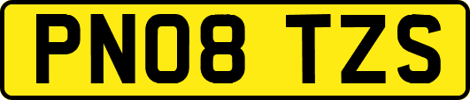 PN08TZS