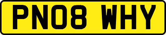 PN08WHY
