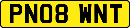 PN08WNT