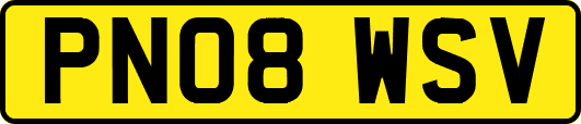 PN08WSV