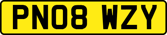 PN08WZY