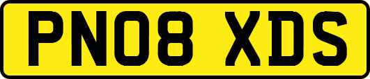 PN08XDS