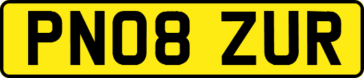 PN08ZUR