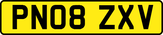 PN08ZXV