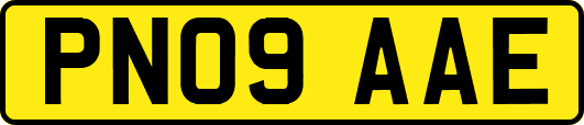 PN09AAE