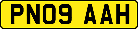PN09AAH