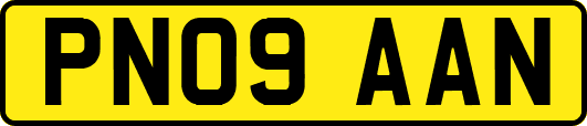 PN09AAN