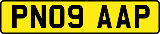 PN09AAP