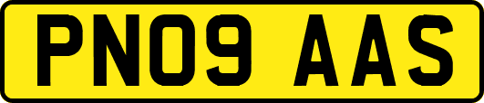 PN09AAS