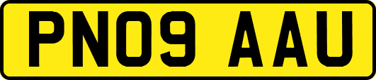 PN09AAU