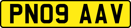 PN09AAV
