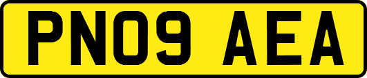 PN09AEA