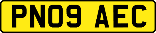PN09AEC
