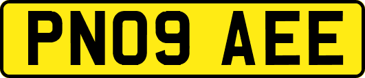 PN09AEE