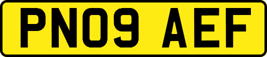 PN09AEF