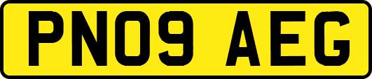 PN09AEG