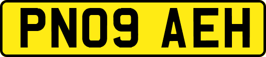 PN09AEH