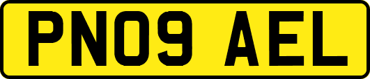 PN09AEL