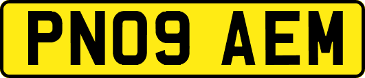 PN09AEM