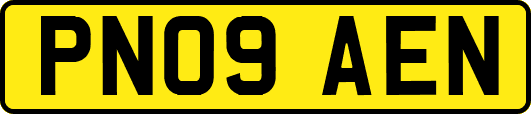 PN09AEN