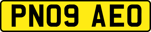 PN09AEO