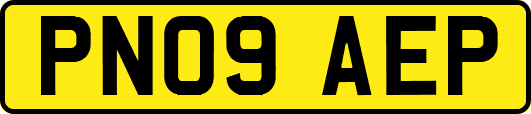 PN09AEP