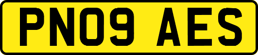 PN09AES