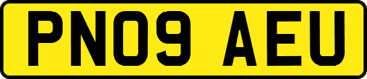 PN09AEU
