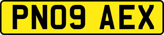 PN09AEX