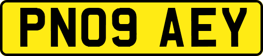 PN09AEY