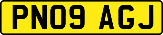 PN09AGJ