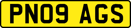 PN09AGS