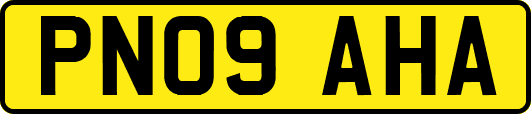 PN09AHA