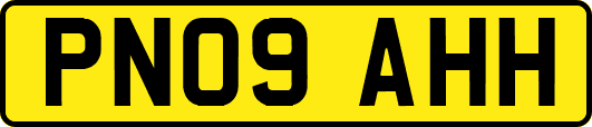 PN09AHH